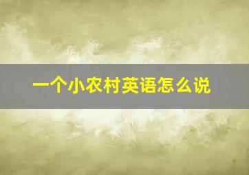 一个小农村英语怎么说