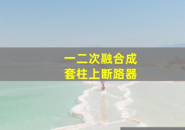 一二次融合成套柱上断路器