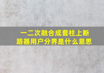 一二次融合成套柱上断路器用户分界是什么意思