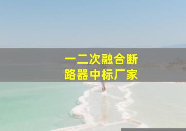 一二次融合断路器中标厂家