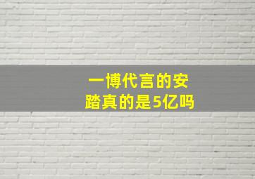 一博代言的安踏真的是5亿吗