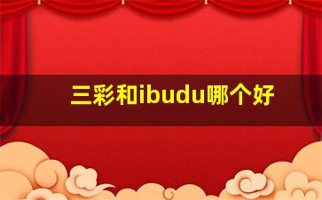 三彩和ibudu哪个好