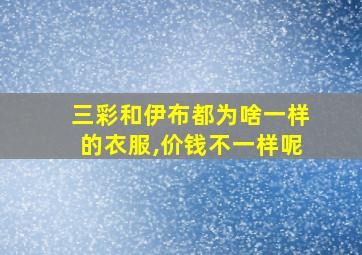 三彩和伊布都为啥一样的衣服,价钱不一样呢