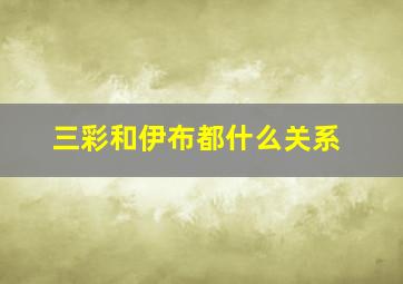 三彩和伊布都什么关系