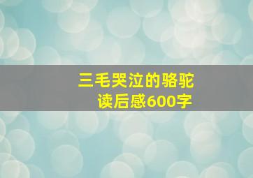 三毛哭泣的骆驼读后感600字