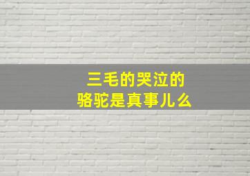 三毛的哭泣的骆驼是真事儿么