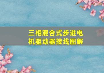 三相混合式步进电机驱动器接线图解