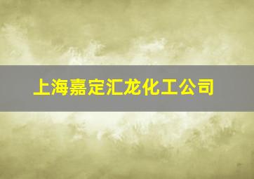 上海嘉定汇龙化工公司