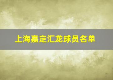 上海嘉定汇龙球员名单