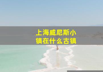 上海威尼斯小镇在什么古镇