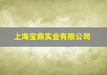 上海宝鼎实业有限公司