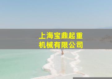 上海宝鼎起重机械有限公司