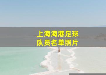 上海海港足球队员名单照片