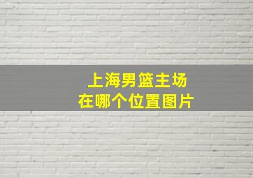 上海男篮主场在哪个位置图片