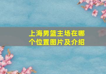 上海男篮主场在哪个位置图片及介绍