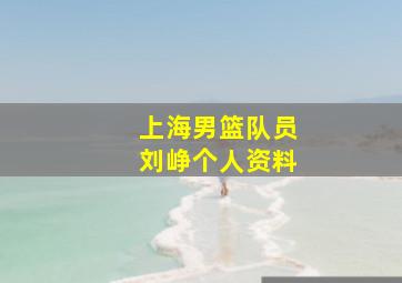 上海男篮队员刘峥个人资料