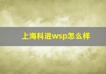 上海科进wsp怎么样