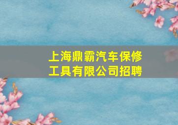 上海鼎霸汽车保修工具有限公司招聘