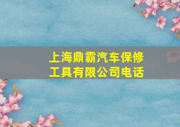 上海鼎霸汽车保修工具有限公司电话