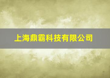 上海鼎霸科技有限公司