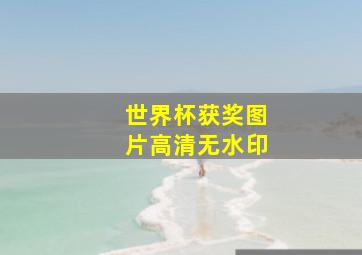 世界杯获奖图片高清无水印