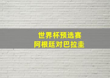 世界杯预选赛阿根廷对巴拉圭