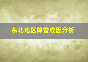 东北地区降雪成因分析