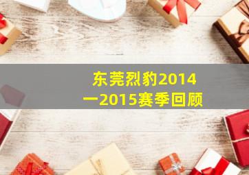 东莞烈豹2014一2015赛季回顾