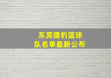 东莞猎豹篮球队名单最新公布