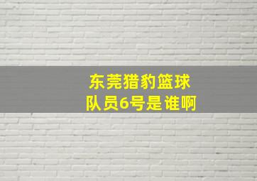 东莞猎豹篮球队员6号是谁啊