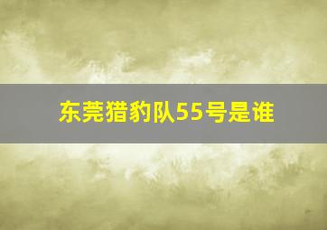 东莞猎豹队55号是谁