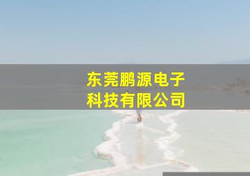 东莞鹏源电子科技有限公司