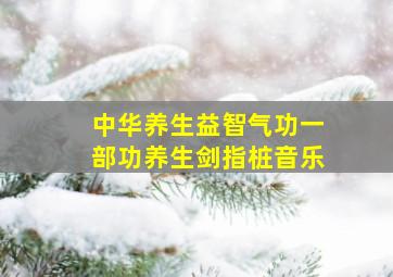 中华养生益智气功一部功养生剑指桩音乐