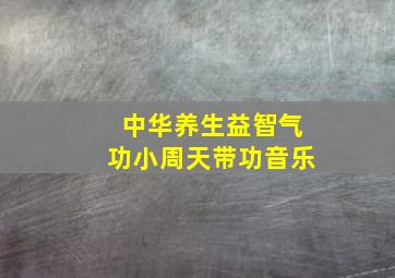 中华养生益智气功小周天带功音乐