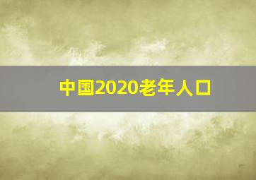 中国2020老年人口