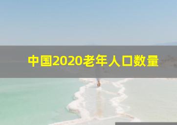 中国2020老年人口数量