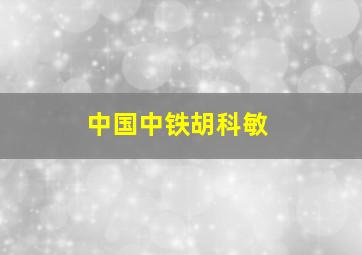 中国中铁胡科敏