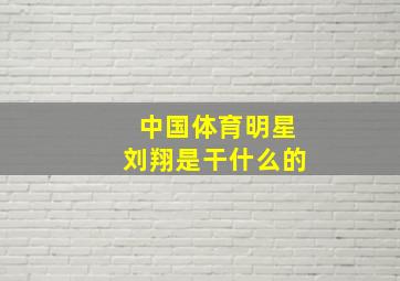 中国体育明星刘翔是干什么的