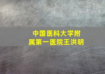 中国医科大学附属第一医院王洪明