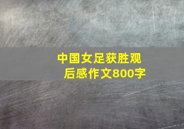 中国女足获胜观后感作文800字