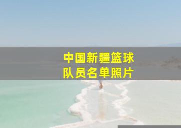 中国新疆篮球队员名单照片