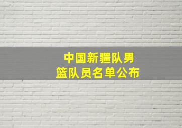 中国新疆队男篮队员名单公布