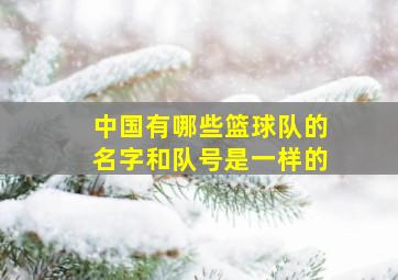 中国有哪些篮球队的名字和队号是一样的