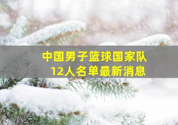 中国男子篮球国家队12人名单最新消息