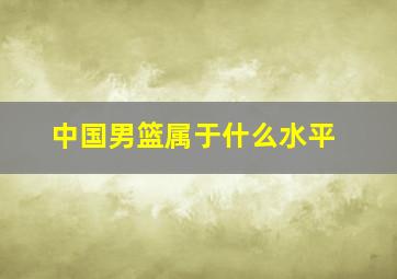 中国男篮属于什么水平