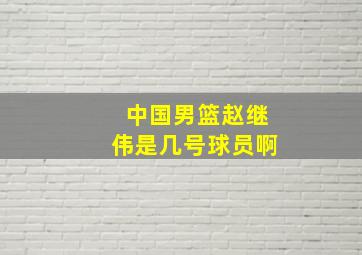 中国男篮赵继伟是几号球员啊