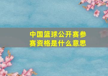 中国篮球公开赛参赛资格是什么意思