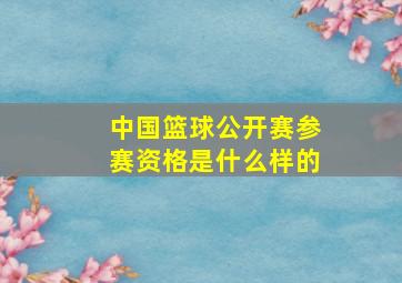 中国篮球公开赛参赛资格是什么样的