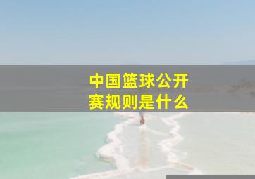 中国篮球公开赛规则是什么