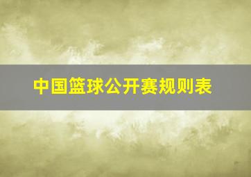 中国篮球公开赛规则表